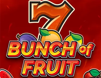 Bunch of Fruit