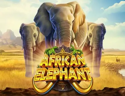 African Elephant