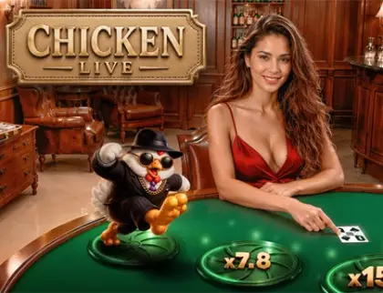 Chicken Live